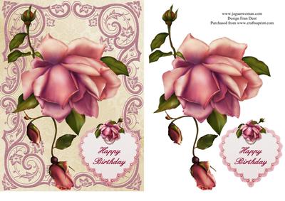 Pink Birthday Rose.