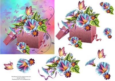 Boxed Morning Glory Step by Step