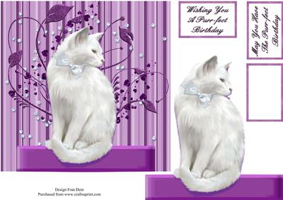 Purr-fect Birthday