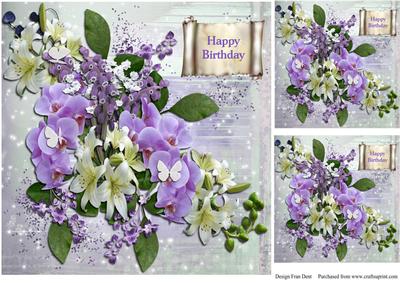 Orchids and Lilies