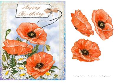 Poppies and Daisies
