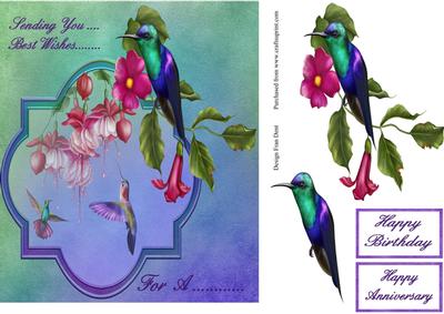 Humming Bird Wishes