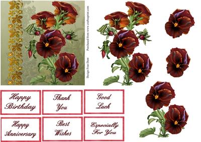 Pansies for a Lady Step by Step