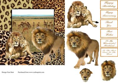 Masters of the Maasai Mara Step by Step