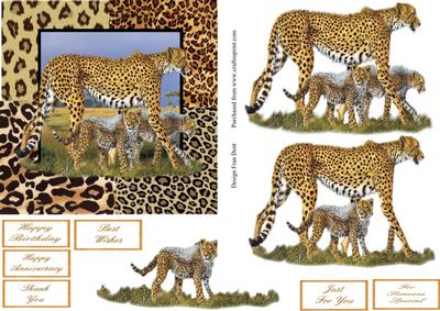 A Walk on the Wild Side Step by Step