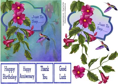 Just to Say Humming Bird Step by Step