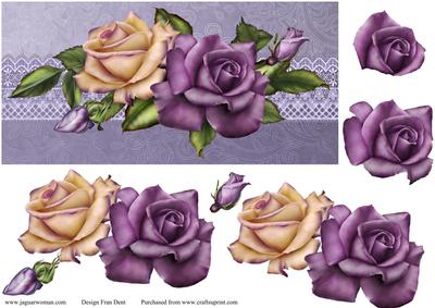 Rose Spray Any Occasion Dl