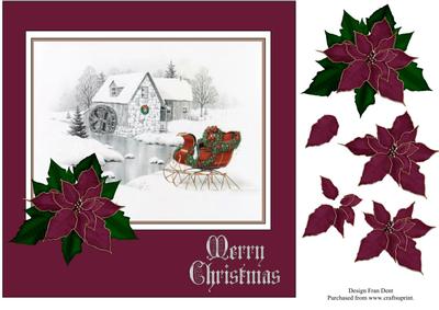 Poinsettia Snow Scene