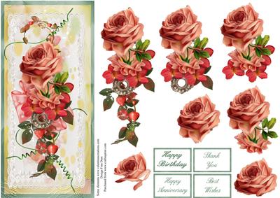 Roses and Lace Dl 2