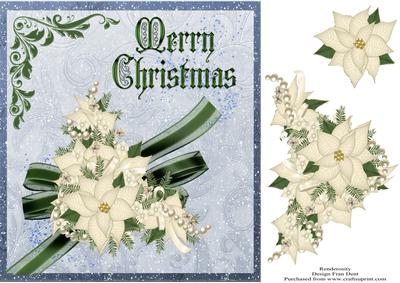 White Poinsettias