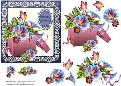 A Box of Morning Glory Step by Step