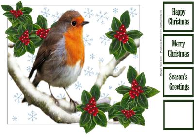 Christmas Robin and Holly