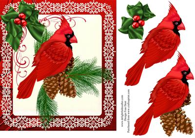Red Cardinal Bird in a Lace Frame