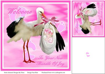 Welcome to Your New Bundle of Joy