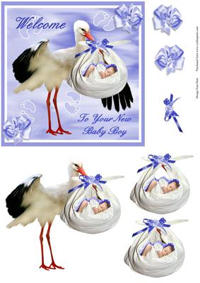 New Baby Boy Step by Step