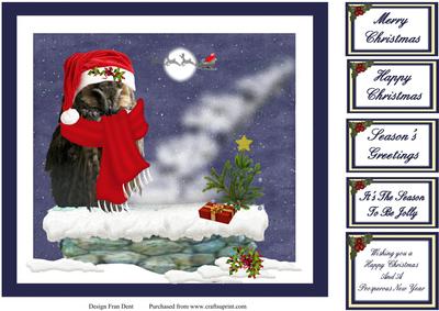 Having a Hoot of a Christmas