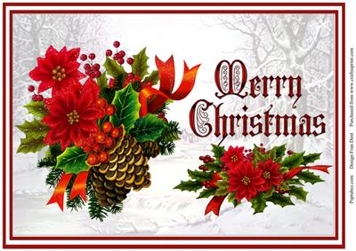 Christmas Decorations