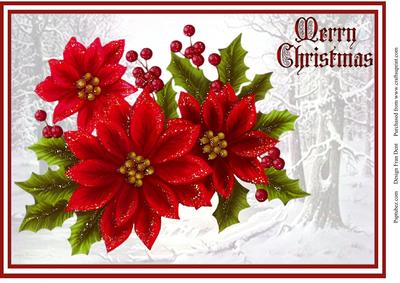 Red Poinsettias and Holly