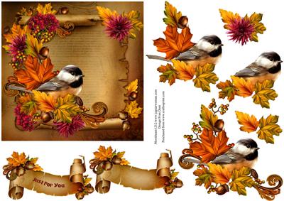 Autumn Chickadee