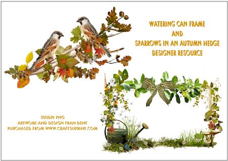 Watering Can Frame and Sparrows in an Autumn Hedge