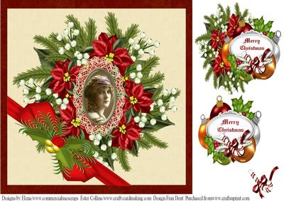 Beauty at Christmas
