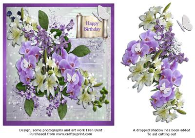 Orchids and Lilies