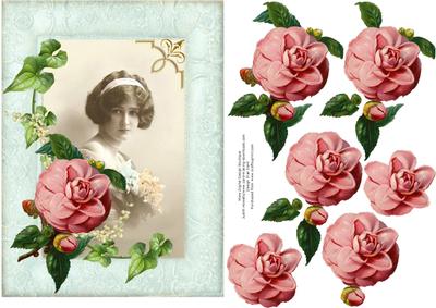 Beauty and Camellia