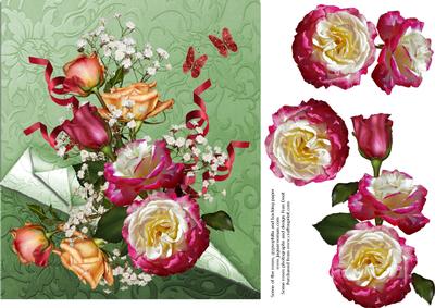 Roses, Roses, Roses.