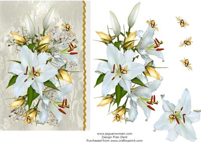 White Lilies and Rosebuds