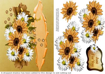 White and Yellow Daisies with Torn Paper