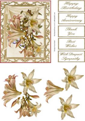 White Lilies in an Ornate Frame