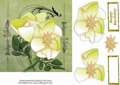 Yellow Magnolias