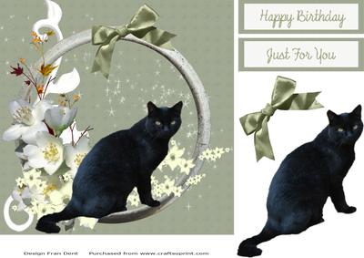 Black Cat with White Flowers