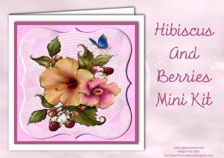 Hibiscus and Berries Mini Kit