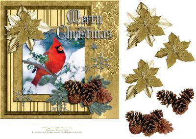 Merry Christmas Red Cardinal