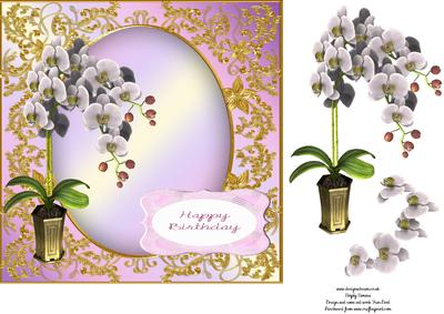 Birthday Orchids