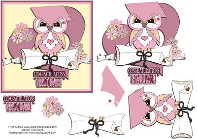 A Pink Graduate Owl