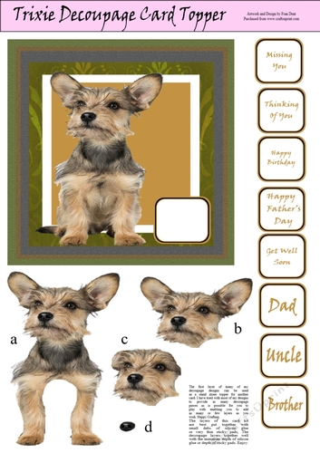 Trixie  Decoupage Card Topper