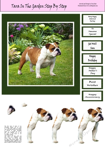 Tara In The Garden Step By Step