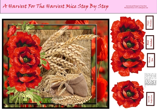 A Harvest For The Harvest Mice