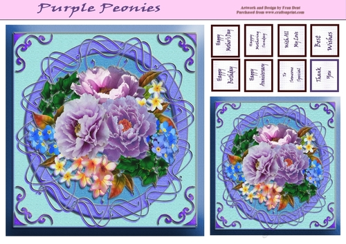 Purple Peonies
