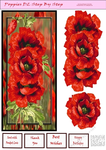 Poppies DL Step By Step