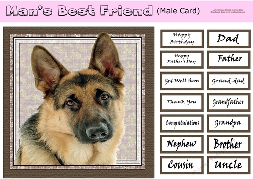 Mans Best Friend