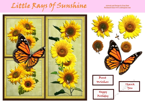 Little Rays Of Sunshine 