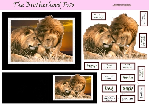 The Brotherhood Two