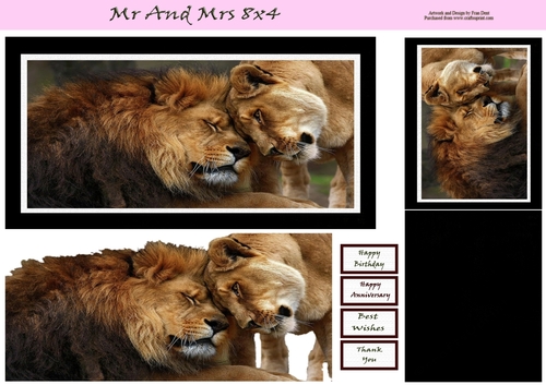 Mr And Mrs 8x4