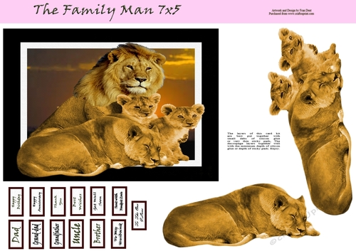 The Family Man 7x5