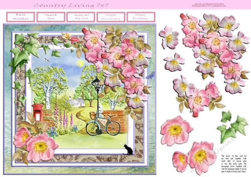 Country Living 7x7