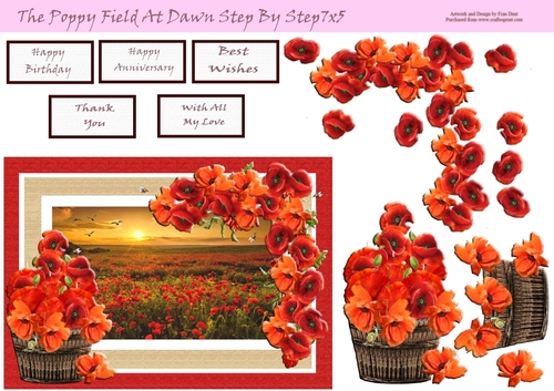 The Poppy Field At Dawn Step By Step 7x5