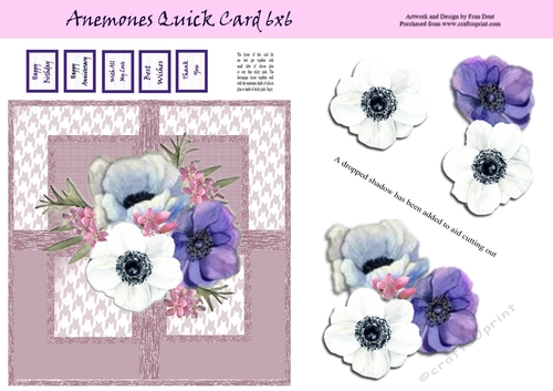 Anemones Quick Card 6x6
